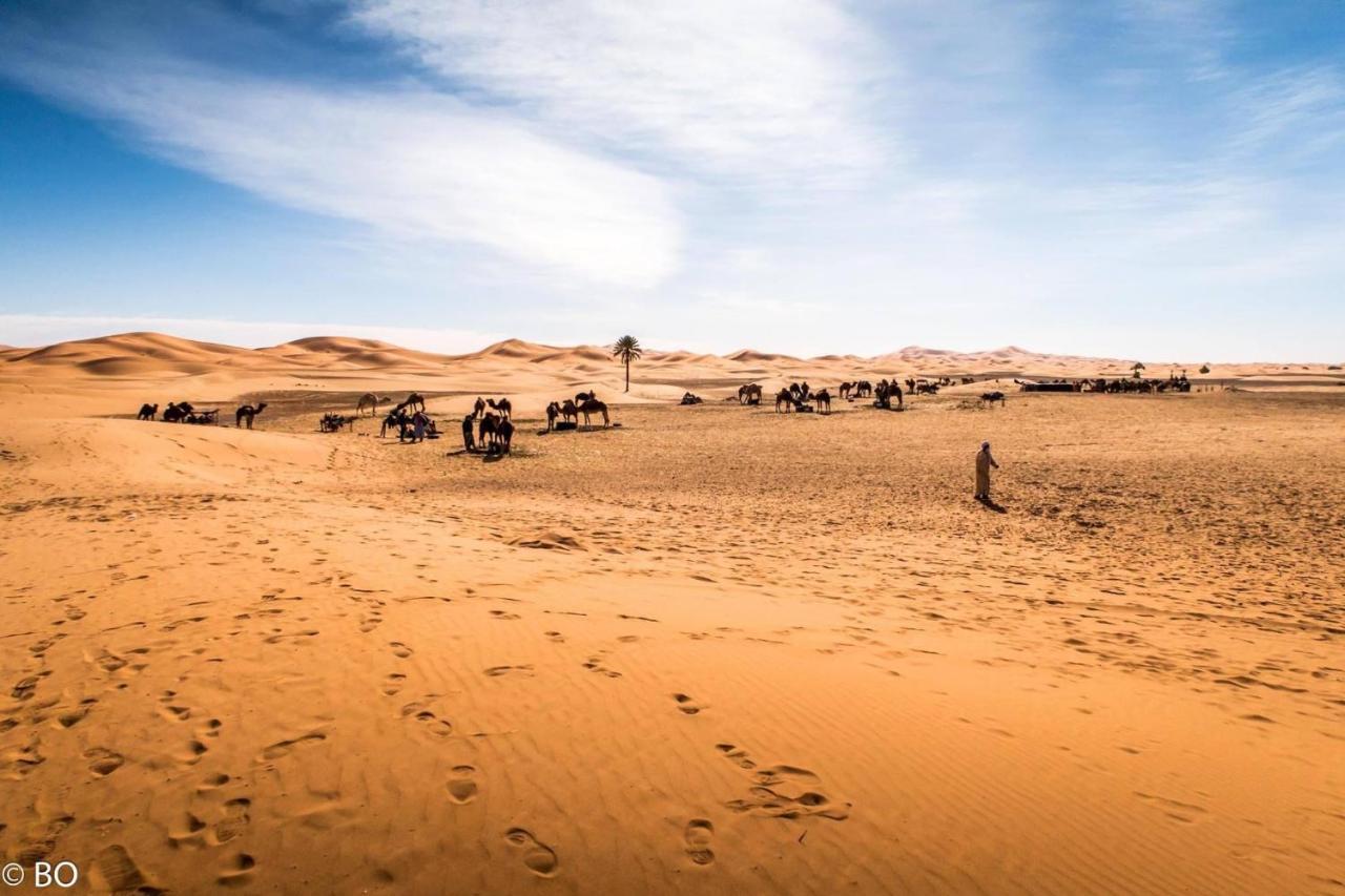 Merzouga Glamping Camp Exteriör bild