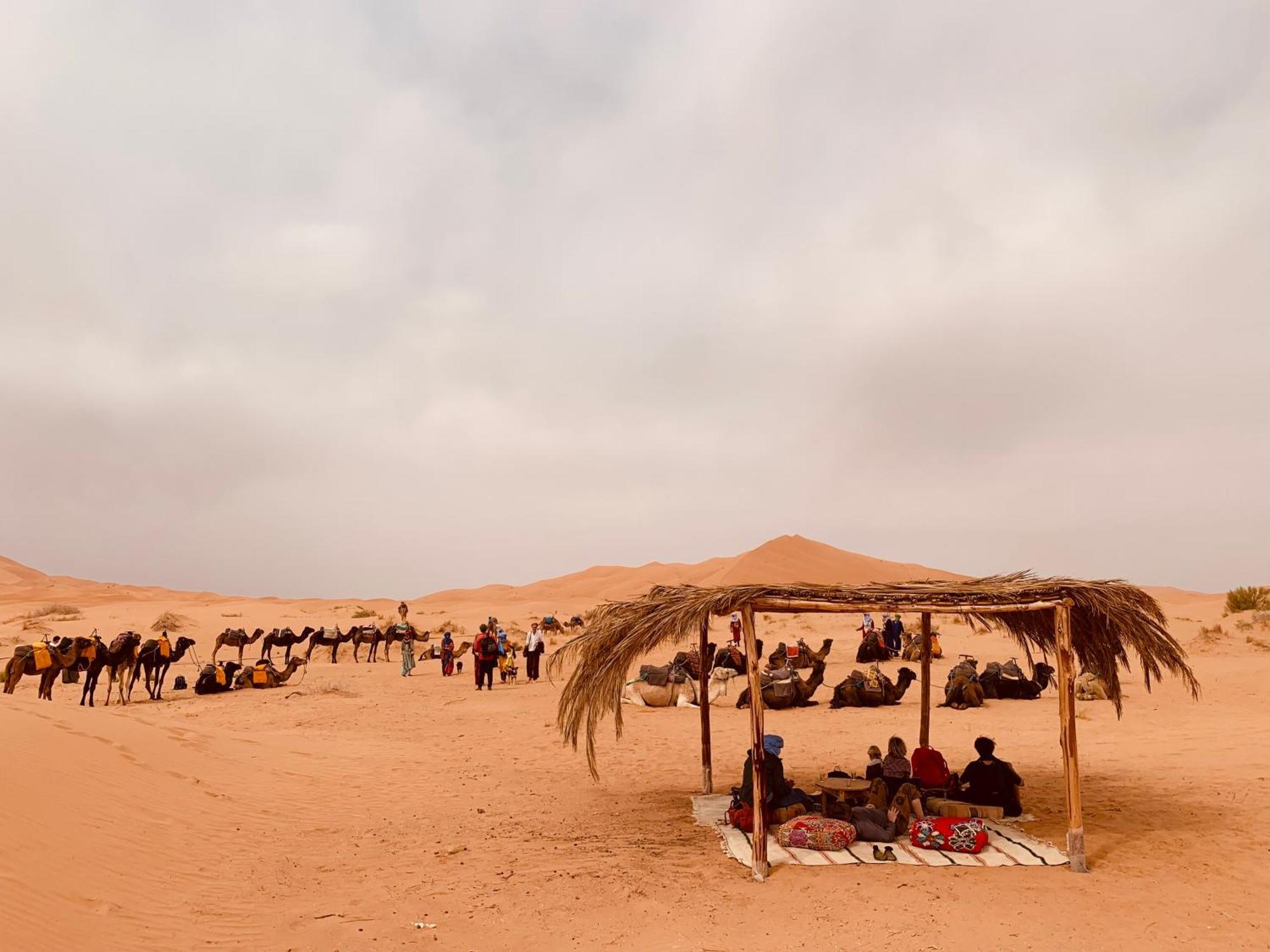 Merzouga Glamping Camp Exteriör bild